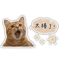 三喵三劍客
