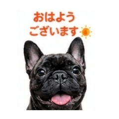 KOROKORO_20260813013829