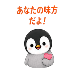 nori_20260813014042