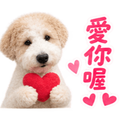 Olumi的日子 Vol.17
