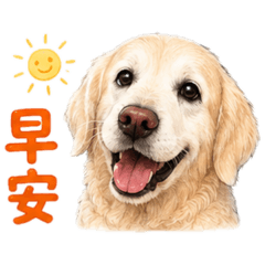 有隻黃金叫麻豆 1 ~