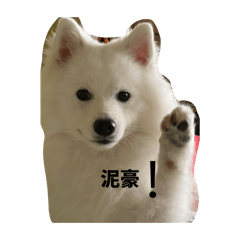 拾一吖