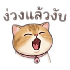 Parichat_20260624131111