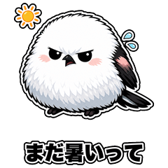 Angry Shimaenaga: Late Summer