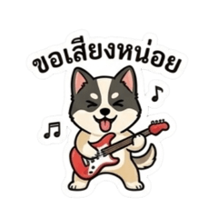 Cat&Dog_20260625122755