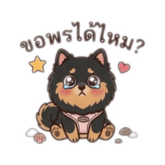 Dog lover @shiji