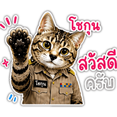 Tawan_20260625180003