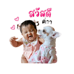pao_20260801123500