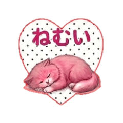 pink cat's everyday