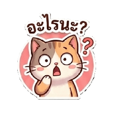 oops99_20260801145637