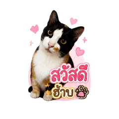 Nokyoong_20260801150125