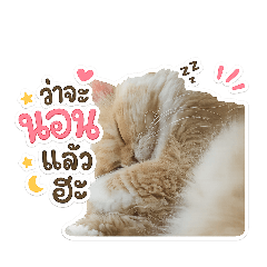 Pluto Meow Meow