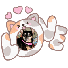 Anime_20260801173252