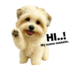 manote25_20260801174521