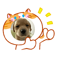 Cream_20260801173441