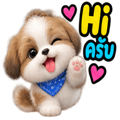 Cute_Cat_Dog