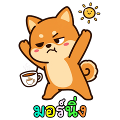 Shiba dog dog