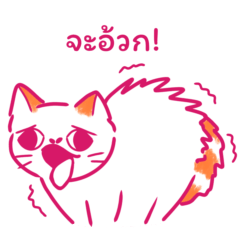 Khai Tun: Orange tabby