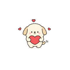 An adorable dog