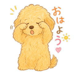 Fluffy Labradoodle Deluxe