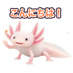 ゆるく動くウーパールーパーの日常会話