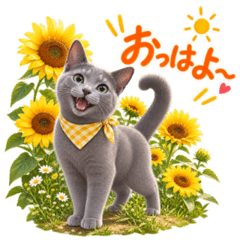 Russian Blue Stickers for Summer