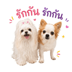 Mr.Shiro&family