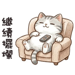 cute grey cats adorable6