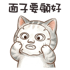 ꜀(^. . ^꜀ )੭ 小灰貓貓面子要顧好