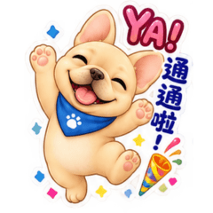 Cute Daily Life of a French Bulldog Baby