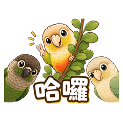 Cute Parrot Trio: Daily Life 2