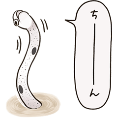GardenEels&SplendidGardenEels daily life
