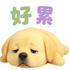 Tired Labrador: Big Text Edition