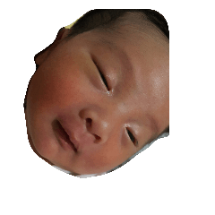 small frog baby