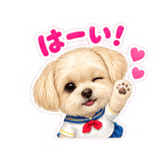 Takaton_20260813085916