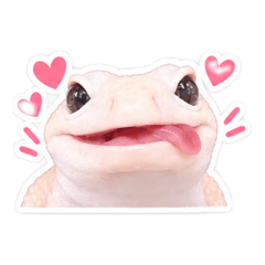maru_20260813091746