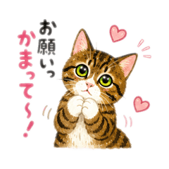 mayu_20260813171113
