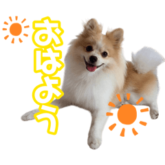 saya_20260813124606