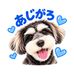 mayu_20260813145551