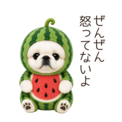 cute cute Pekingese