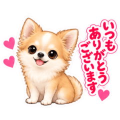 TAKA-YUKI_20260813143524