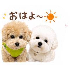 PaPa_20260813143551