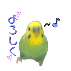 Sugar_20260813143646