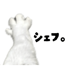 naom_20260813150819