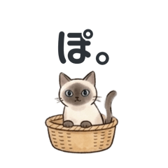 Po_20260813150531