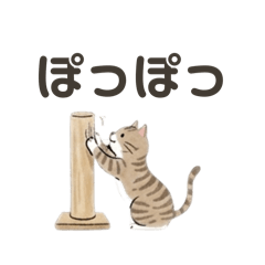 Po_20260813150619