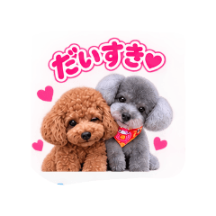 coco_20260813145857