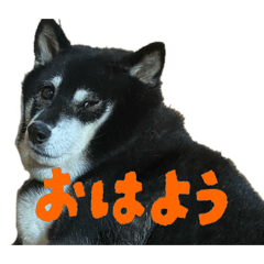 aoaopalupalu_20260813152054