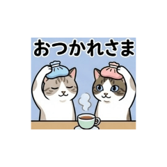 yoppe_20260813151537