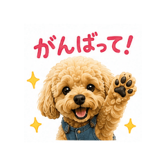 usastamp_20260813151011